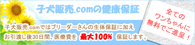 子犬販売.comの健康保証