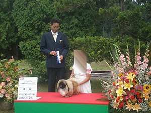 北海道札幌市 中谷ブリーダー